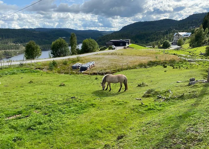 Hygge Pa Fjellet