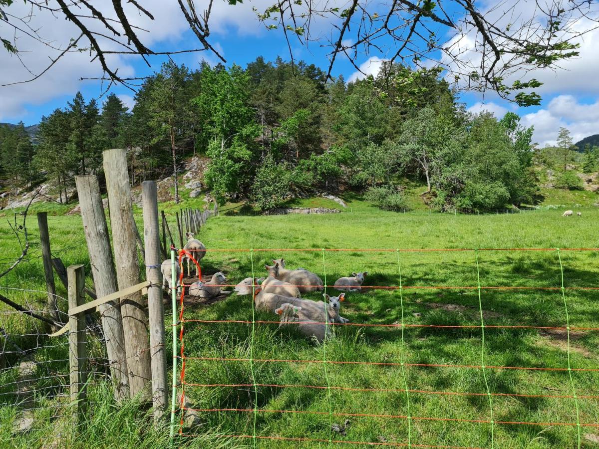 Ferienhaus Hygge Pa Fjellet Øyuvstad